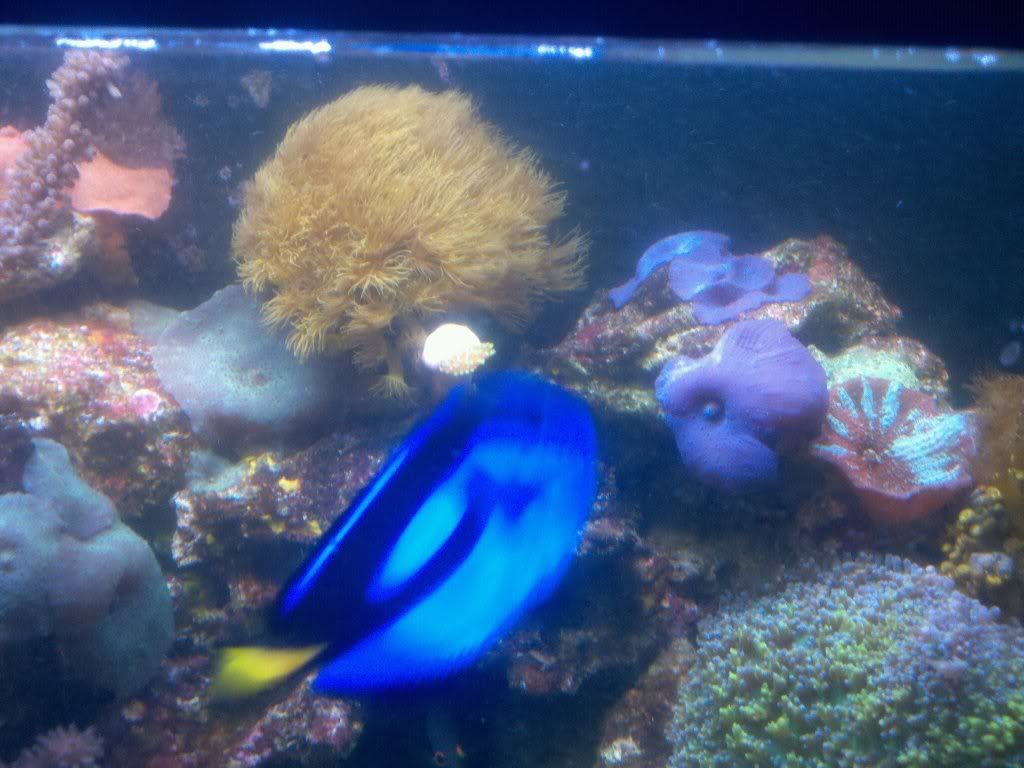 Mar_1_2011_2015.jpg