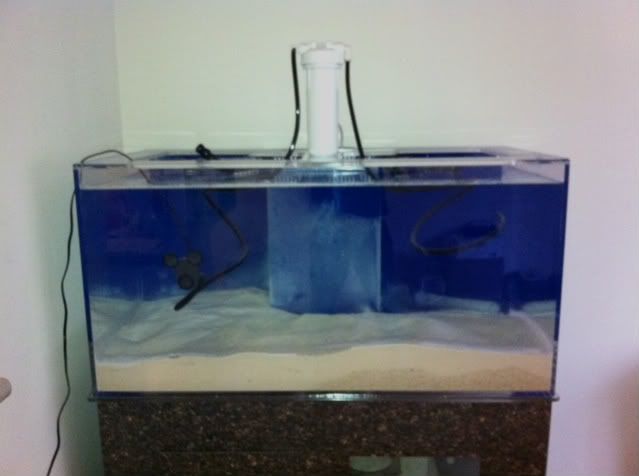 tank111511.jpg
