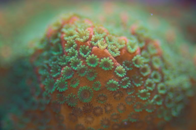 fishstuff10221.jpg
