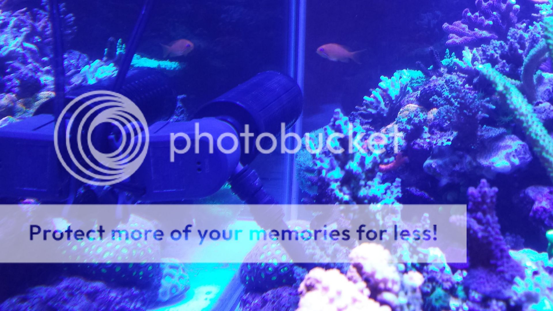 20130529_194420_zps209e27bd.jpg