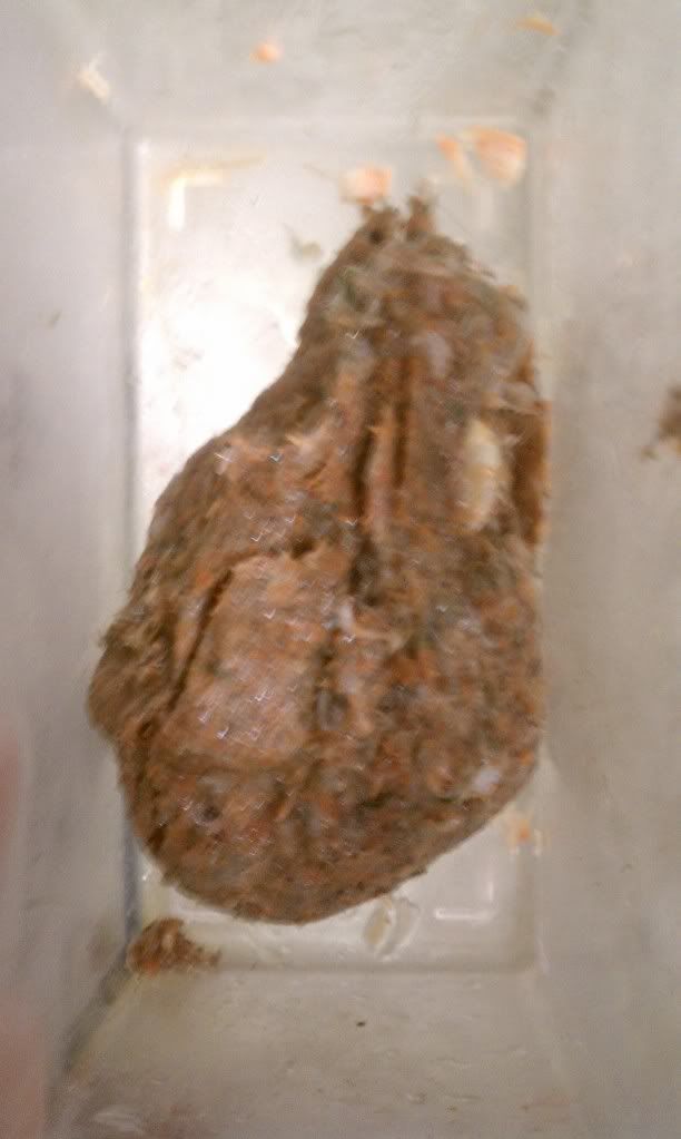 IMAG0721.jpg