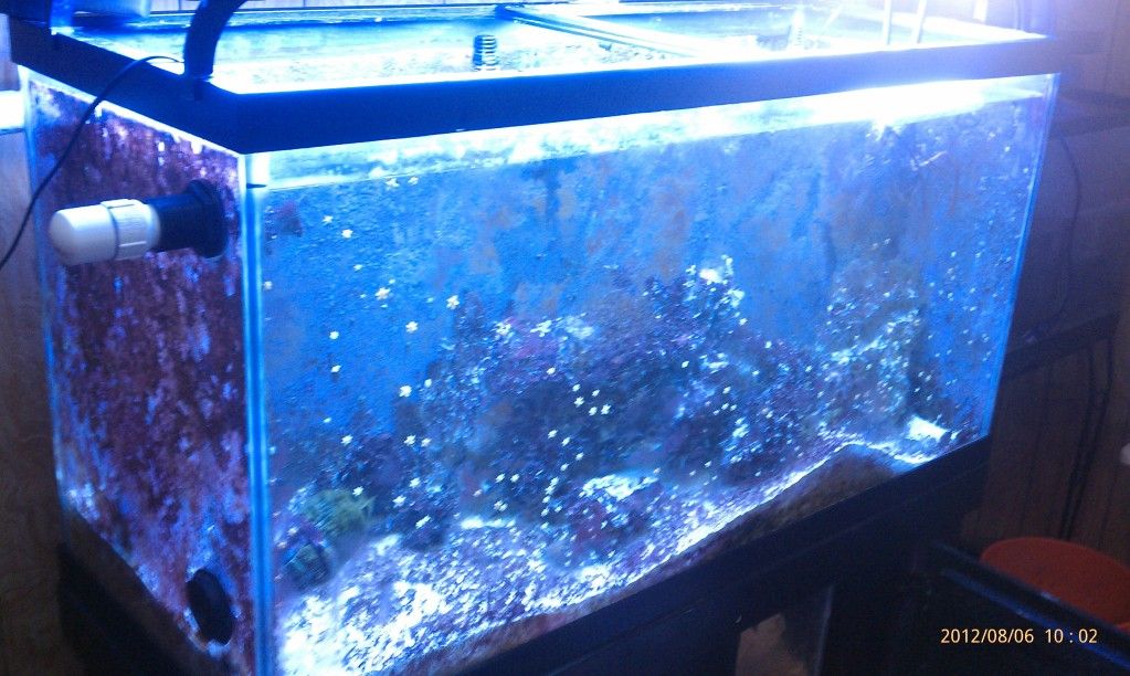 IMAG0768.jpg
