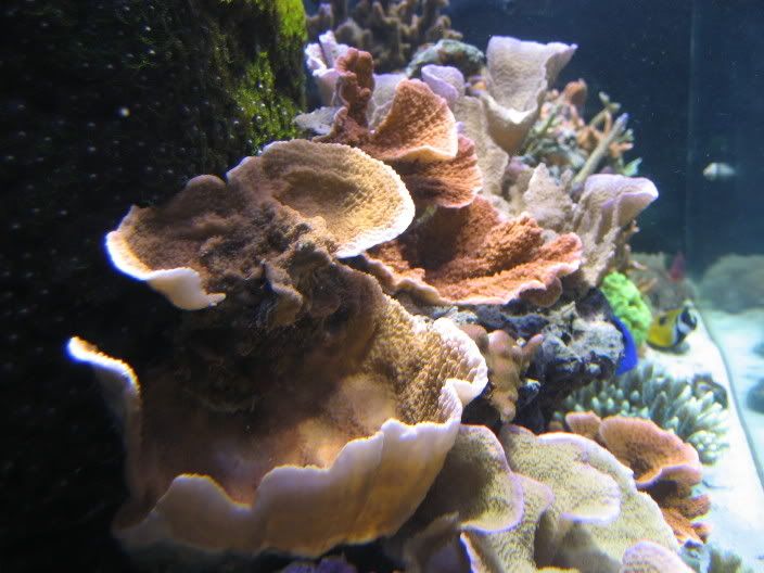 2006_08_23011.jpg