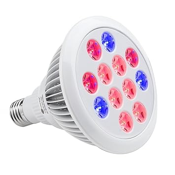612u4ux91KL._SY355_.jpg