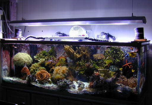 ab_aquaspace01.jpg