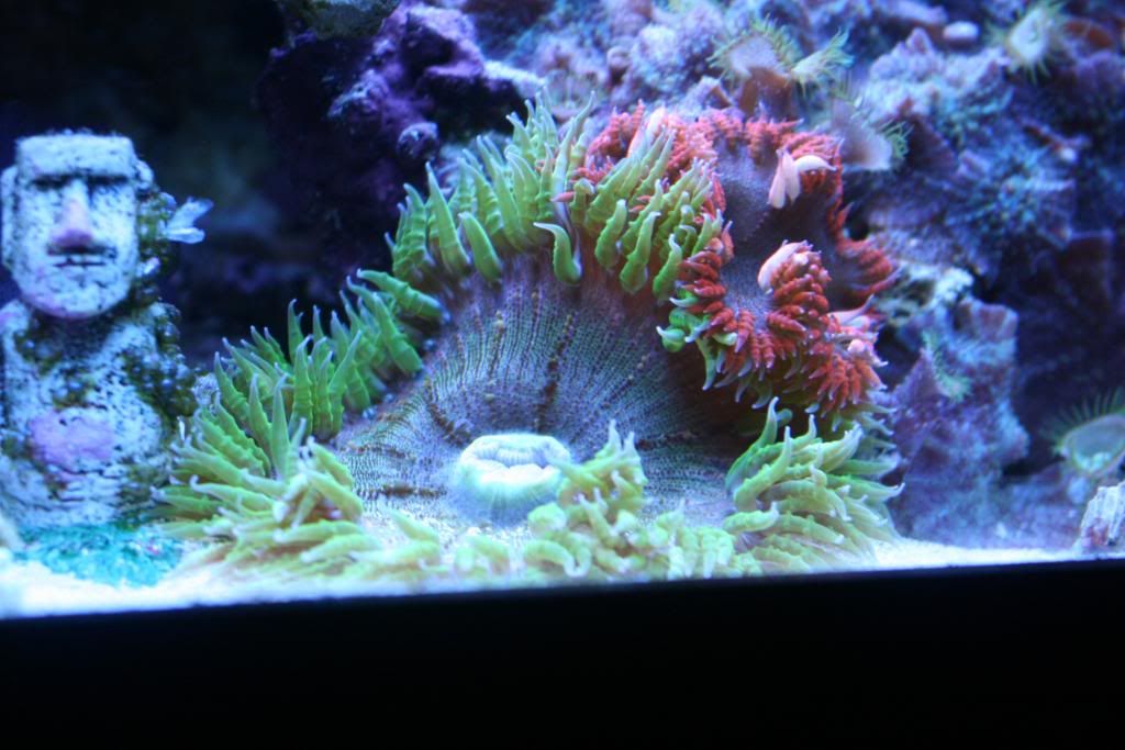 basement4-21-12608.jpg