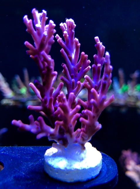 f19e19be3db1b33aa7d9b0f61f05eb29.jpg
