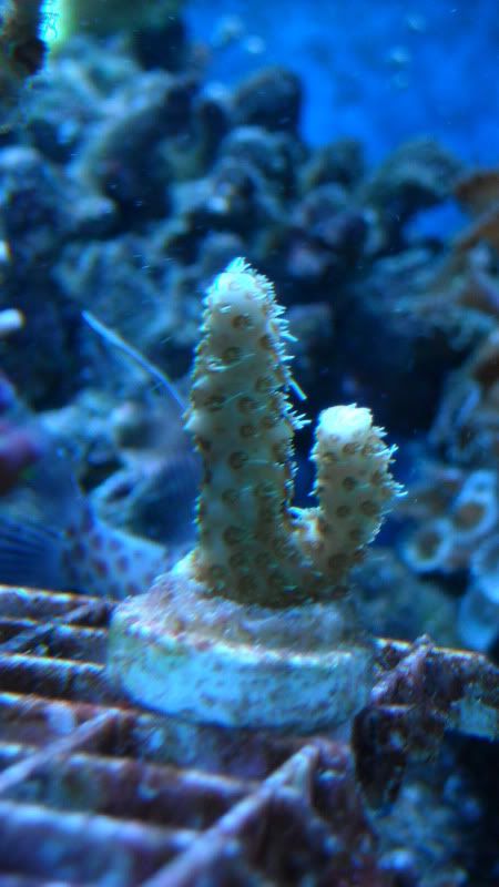 DSCN1493.jpg