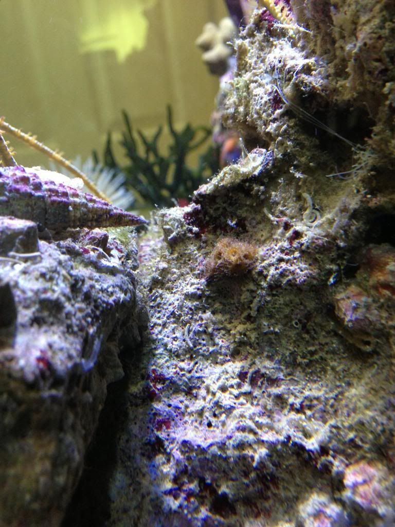 IMG_6715_zps2275db07.jpg