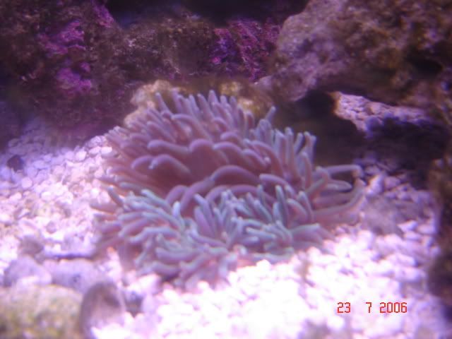 Picture031.jpg