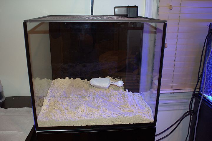 tankpic.jpg