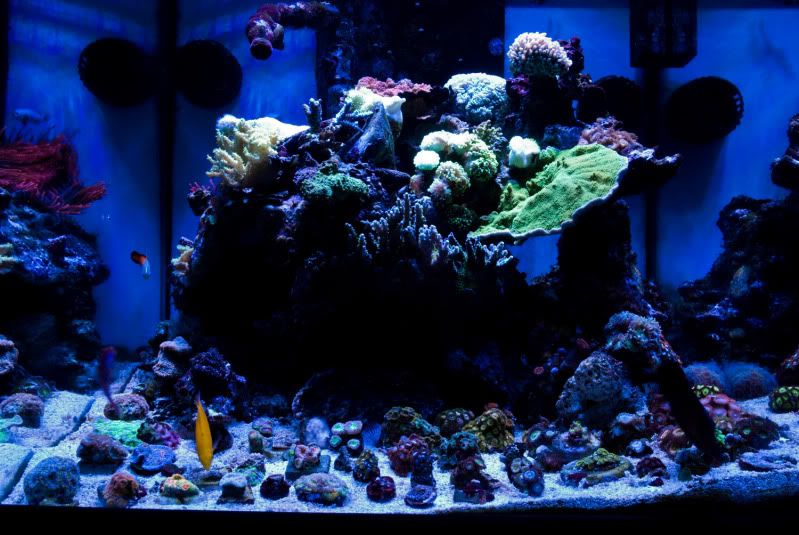 fts-4.jpg