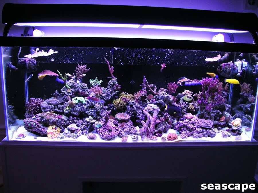 new75g002.jpg