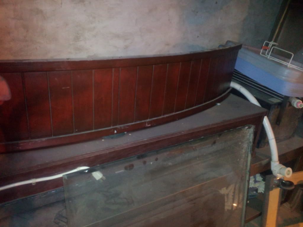 2011-12-18201413.jpg