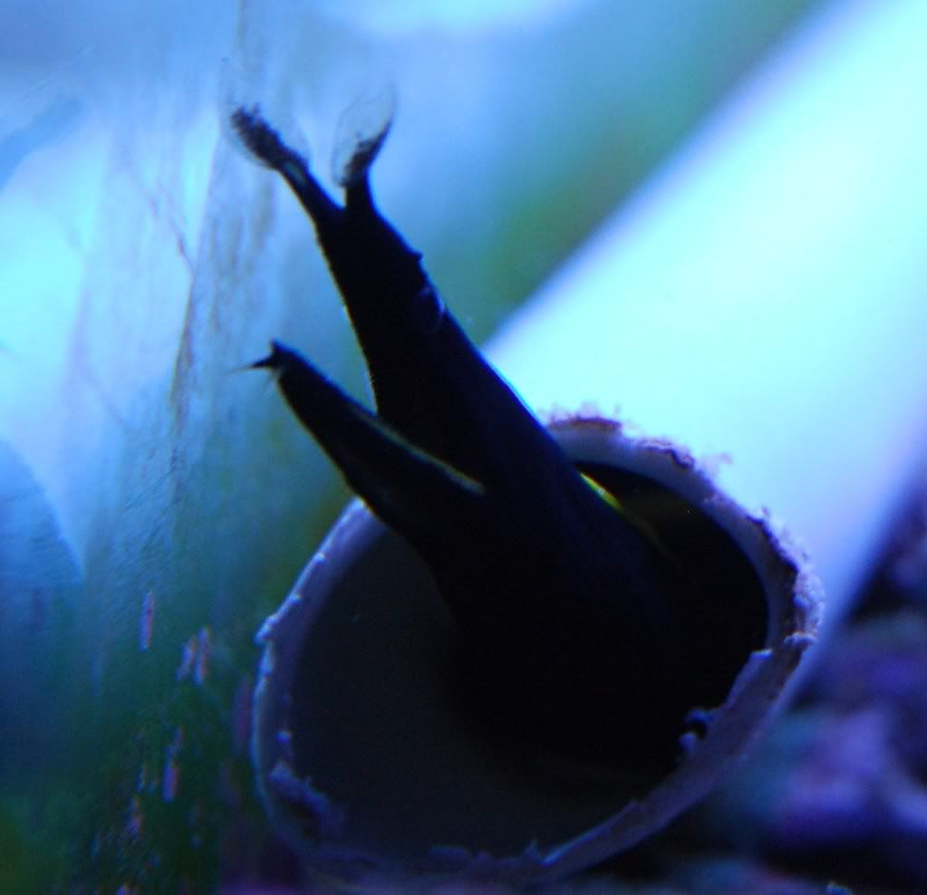 DSC_0162.jpg