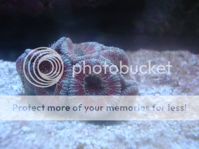 DSC08927.jpg