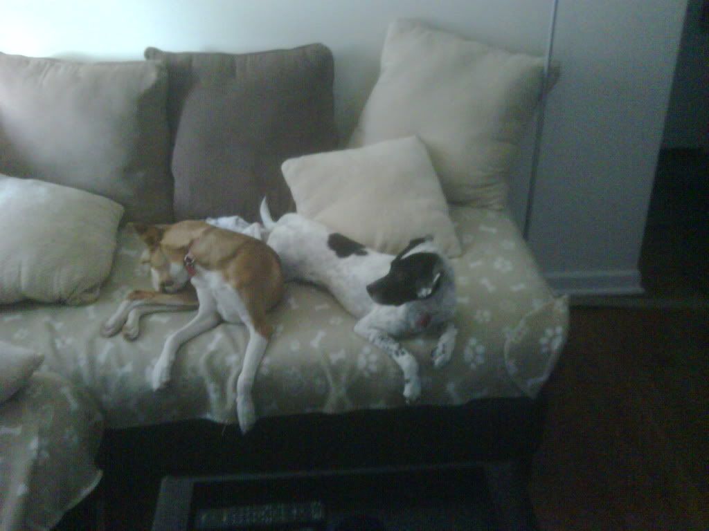 IMG00011-20100214-0932.jpg