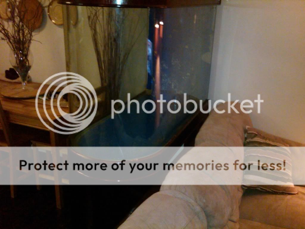 IMG00075-20110303-2355-1.jpg