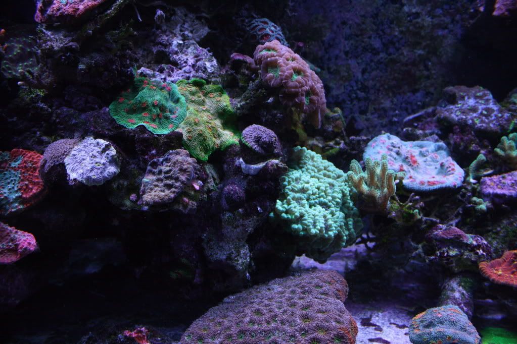IMG_7872.jpg