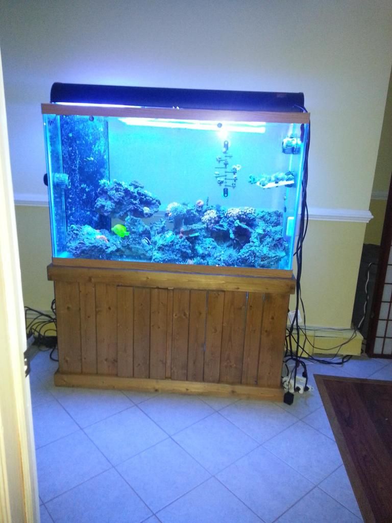 20121128_214341.jpg