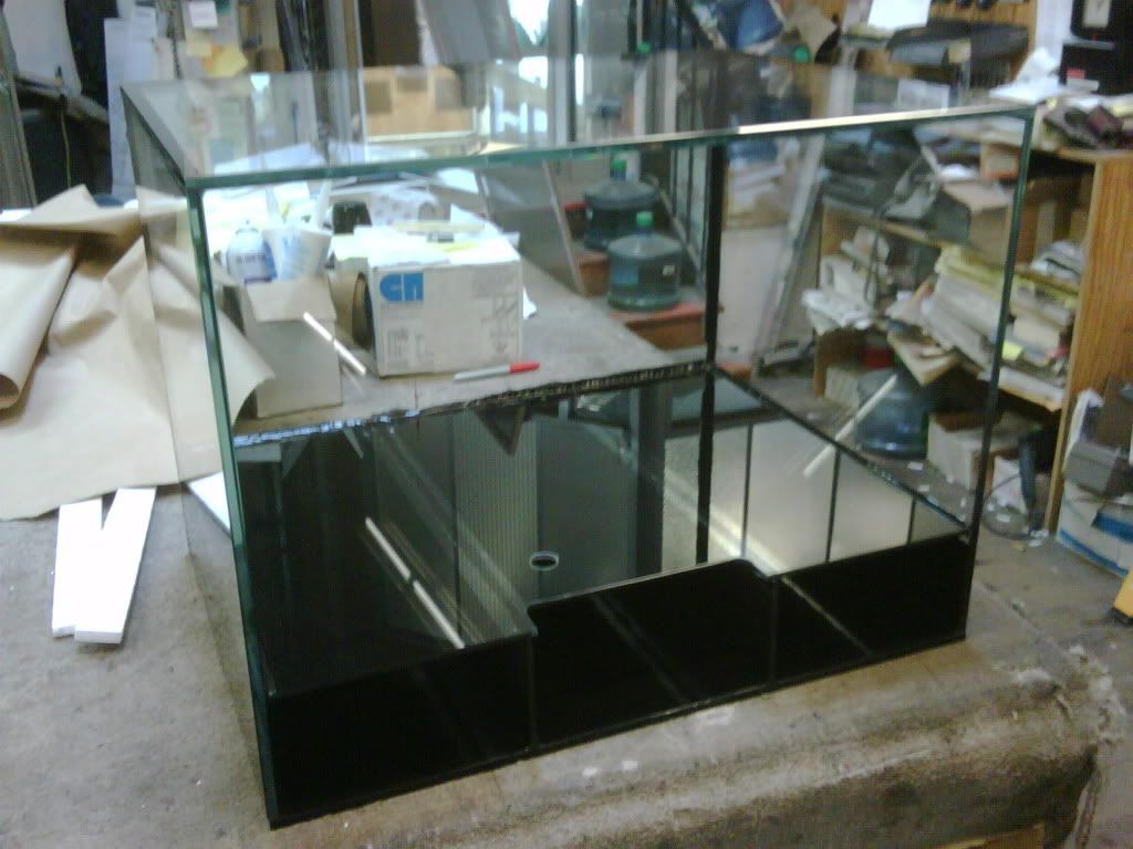 IMG00064-20091013-1109.jpg