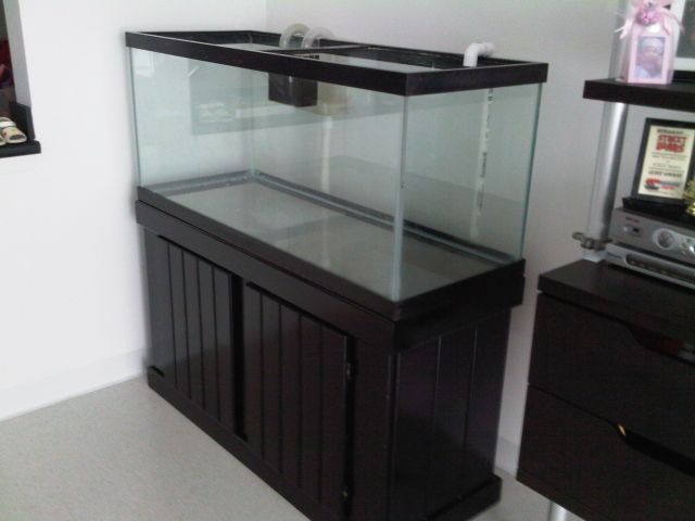 IMG00076-20090419-0932.jpg