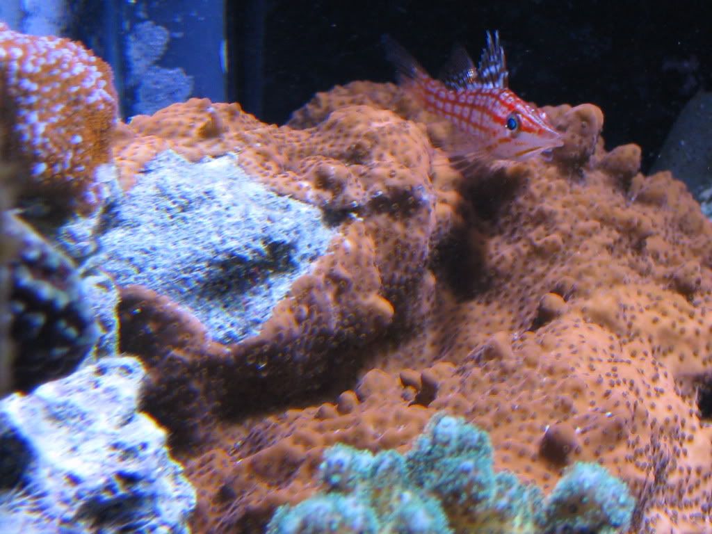 IMG_0636.jpg