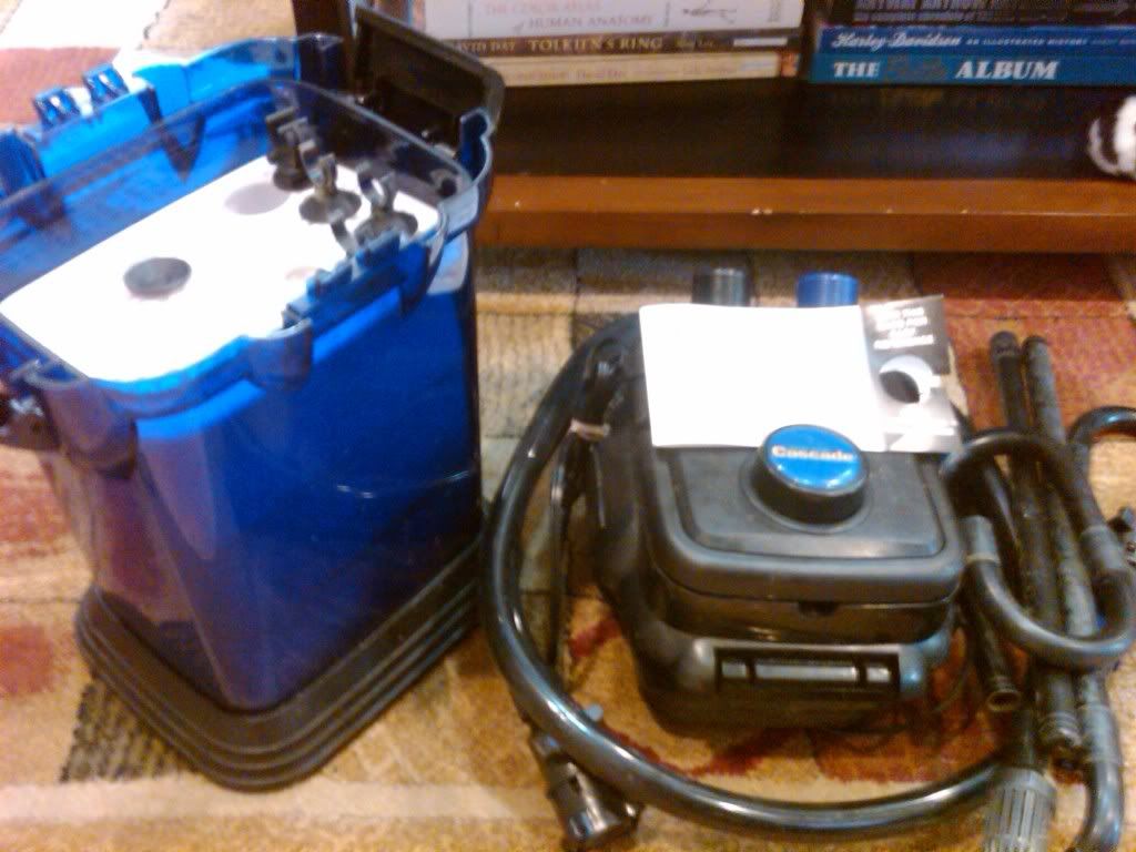 IMG00205-20090830-1612.jpg