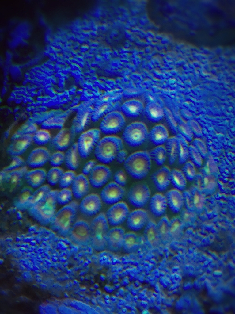 e13617ce8ffc8f349ee33f1790516dca.jpg