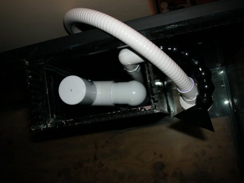 DSCN2505.jpg