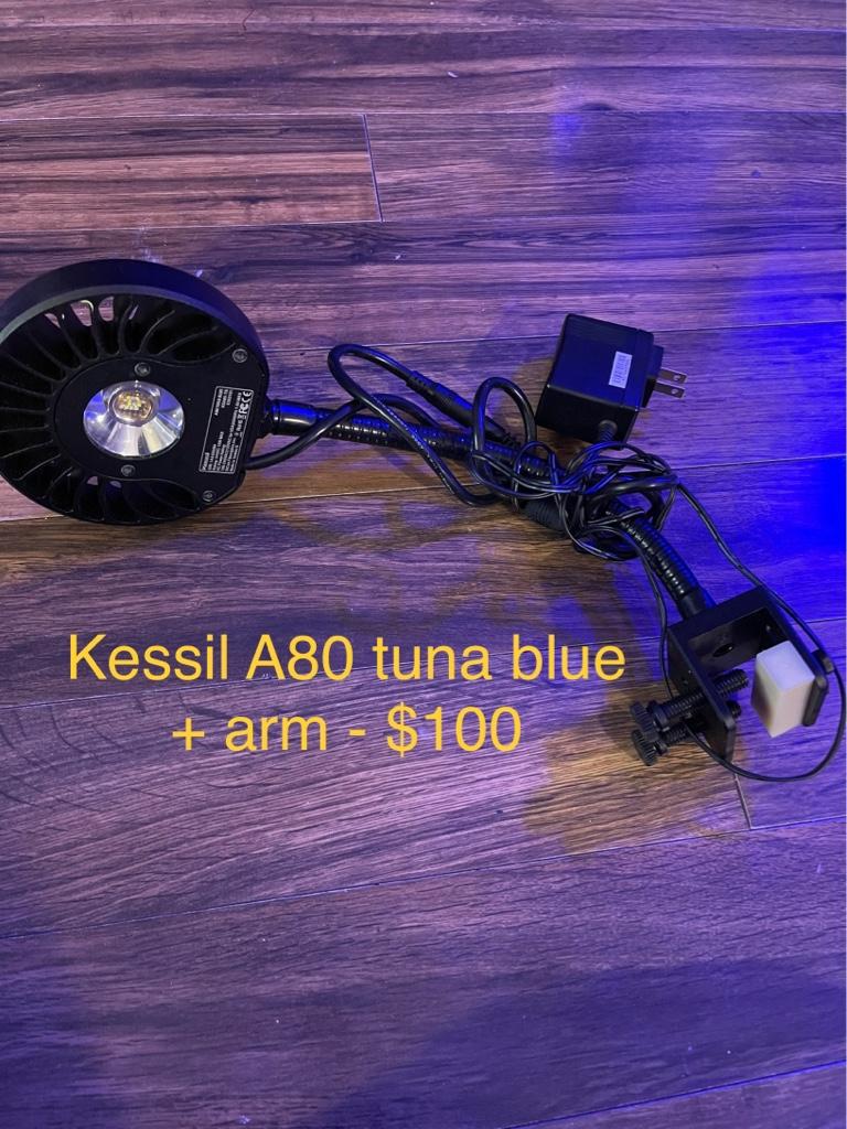 412959be30e4952b294ea424989c0936.jpg