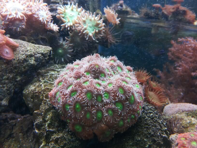 20120222_220714.jpg