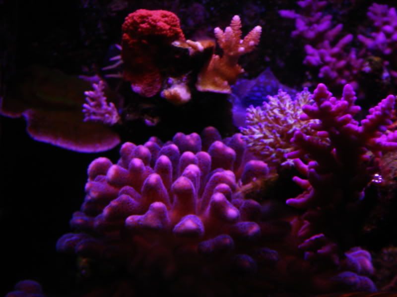 DSC05320.jpg