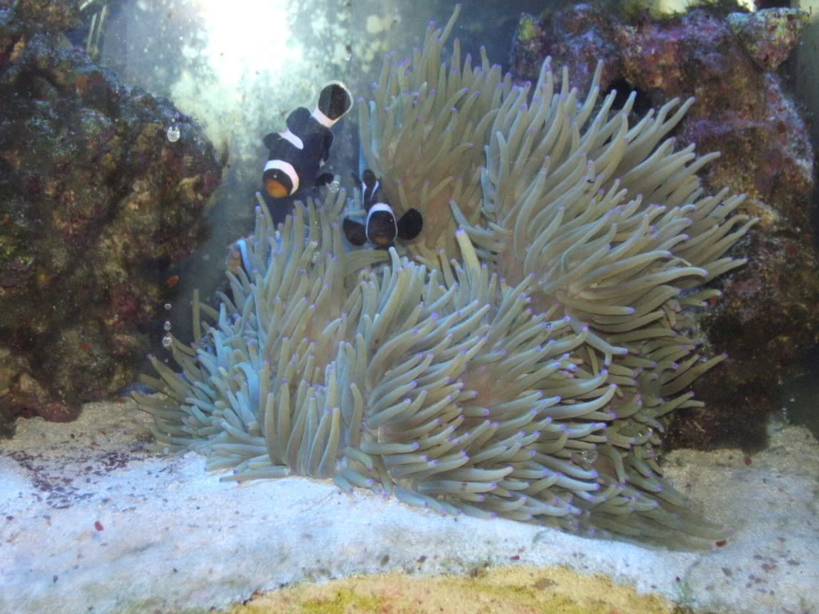 DSCF1267.jpg