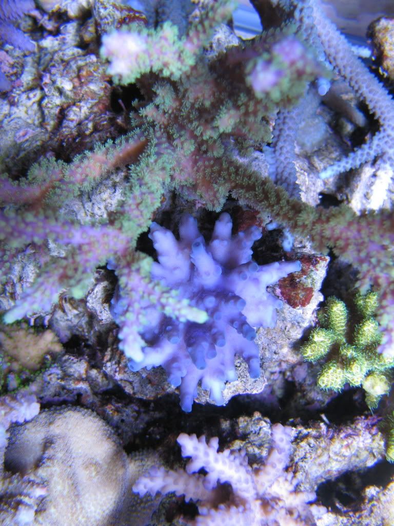 IMG_0861.jpg