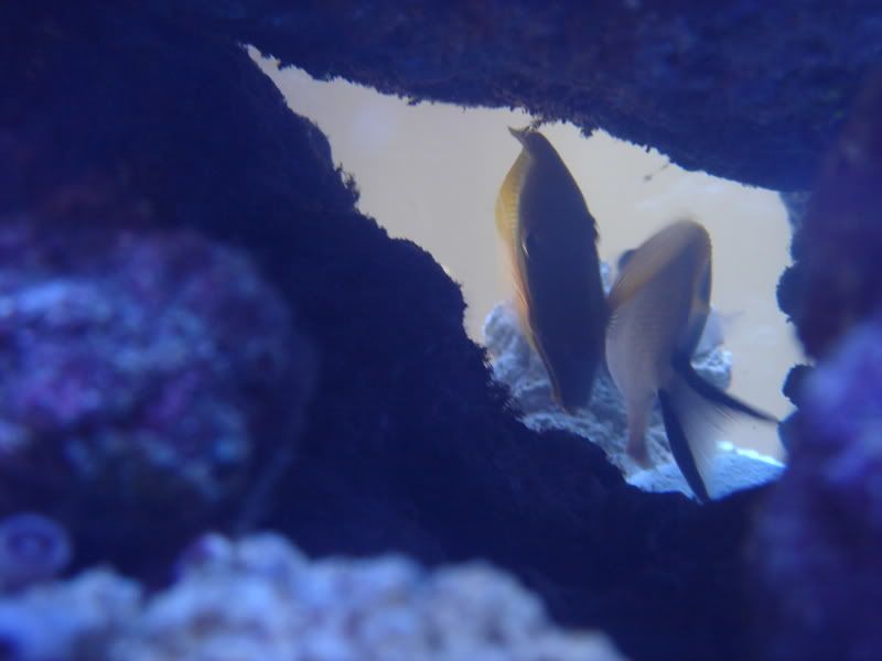 2008_0323100g-square0019.jpg