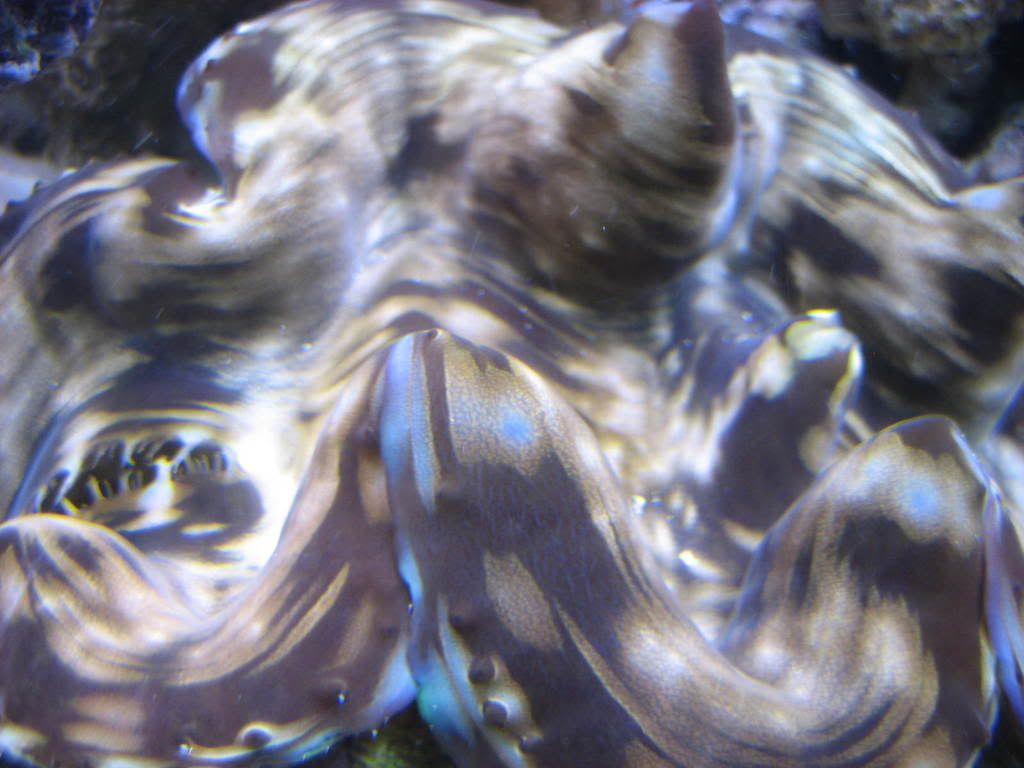 IMG_0487.jpg