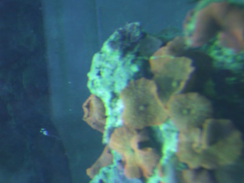 DSCF1378.jpg