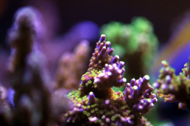 DSC_0614_edited.jpg
