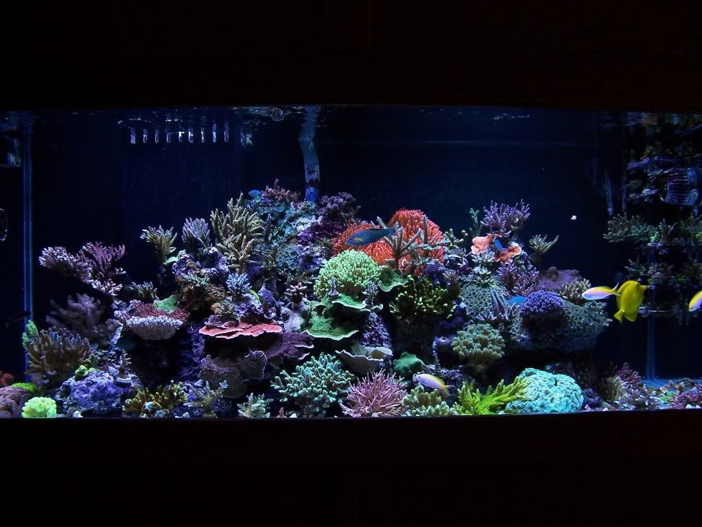 100_4976.jpg