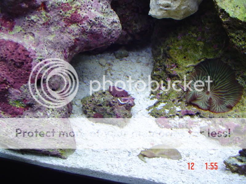 DSC00802.jpg