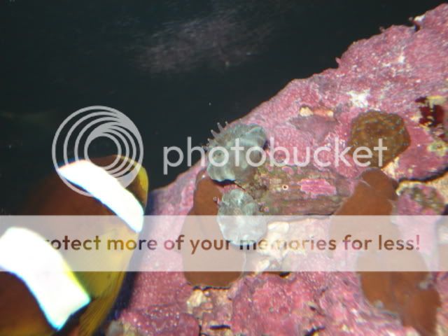 DSC05868.jpg