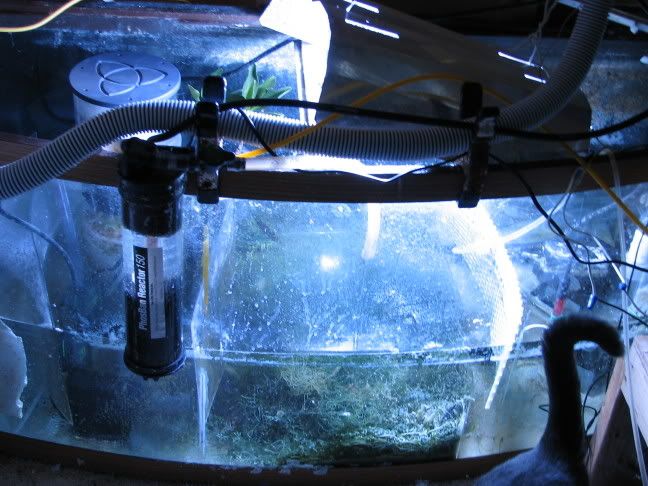 sump.jpg