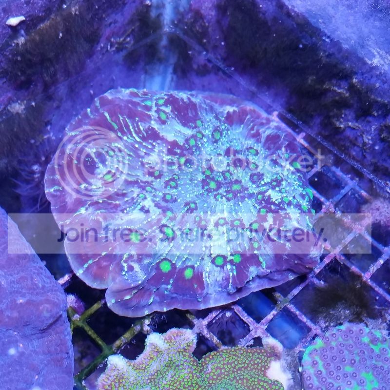 20150531_170440_zpstooejils.jpg