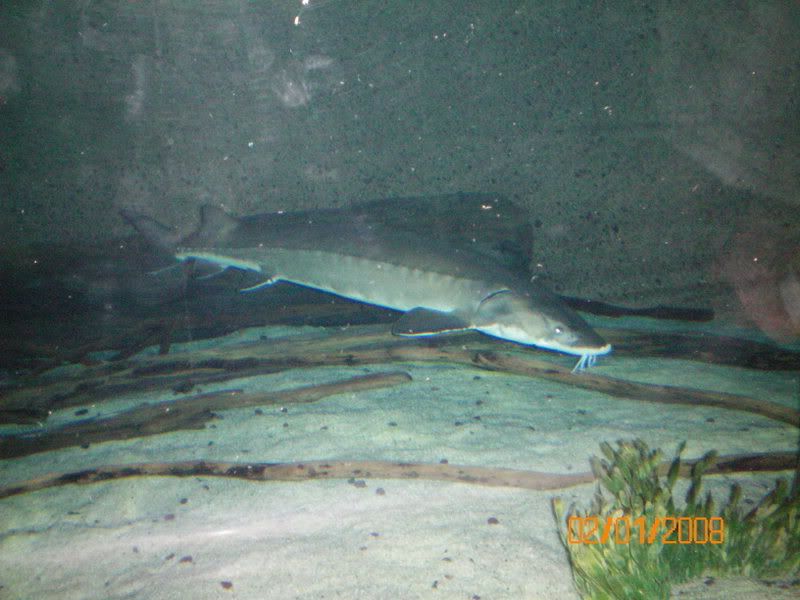 100_0166.jpg