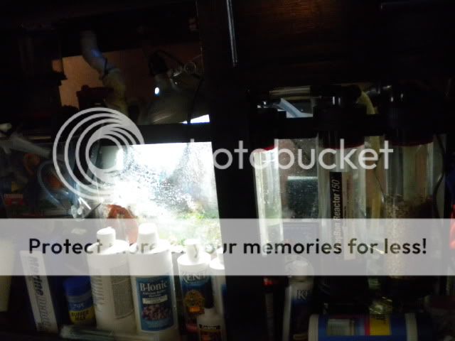 DSCN1443.jpg