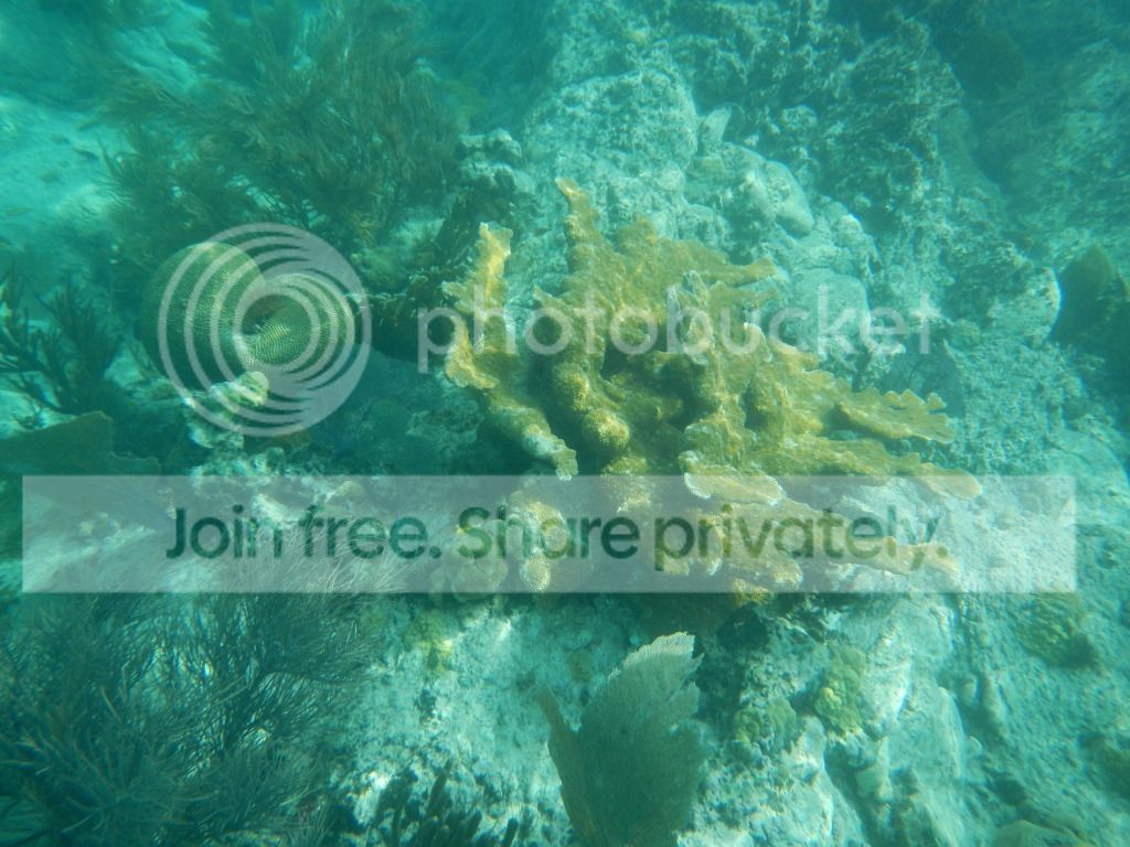 DSCN0516.jpg