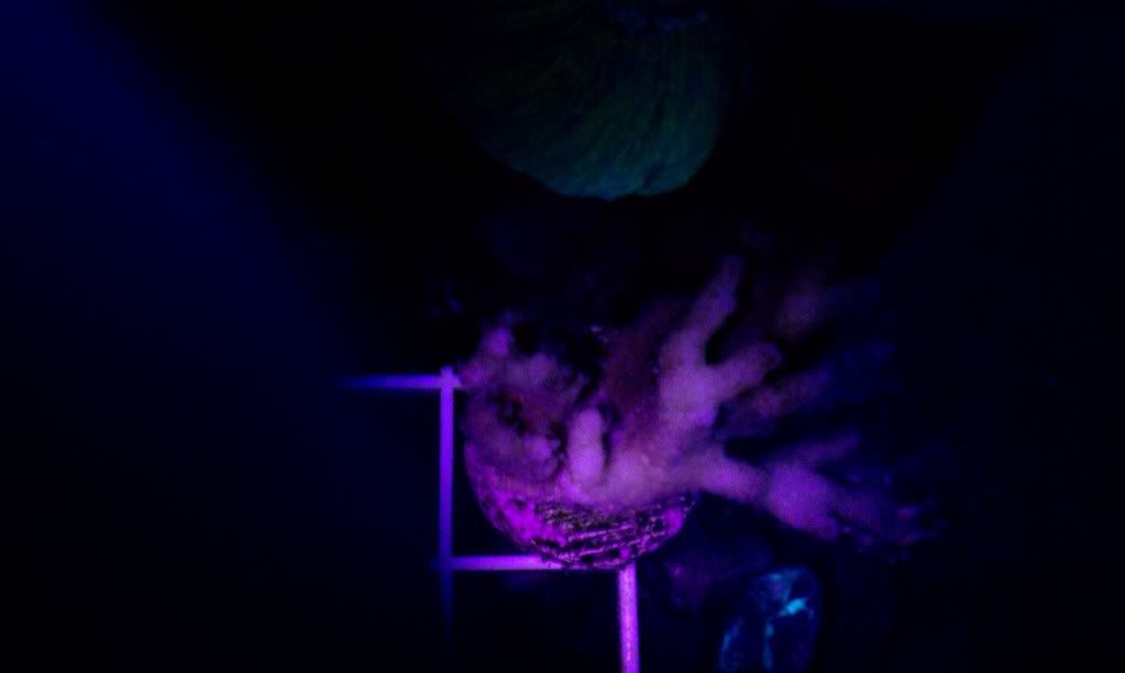 IMAG1022.jpg