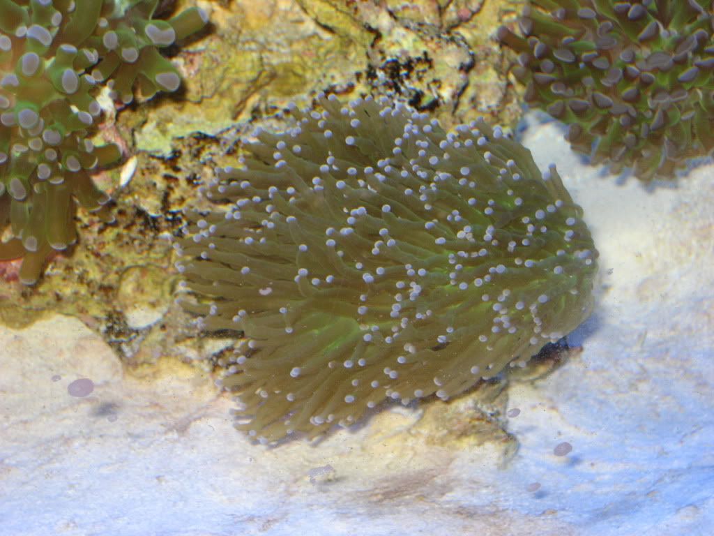 IMG_7506.jpg