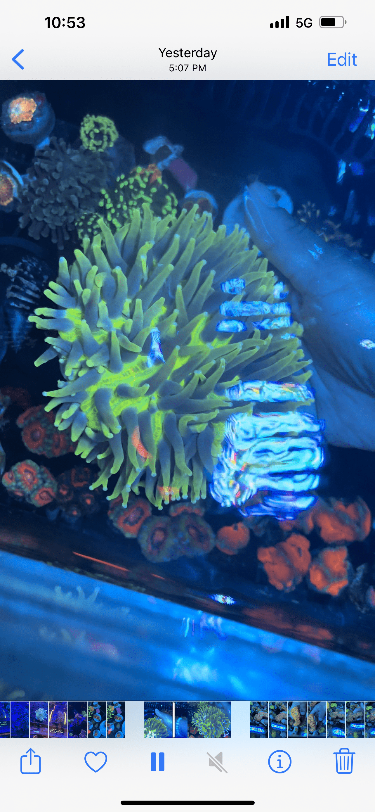 a61ea4a135d1087922456bc625e03136.png